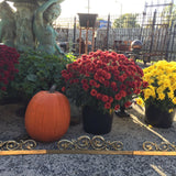 Antique Brass Huge Gallery Pediment 56" Cabinet Furniture Mount Rail