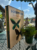 Takashi OHYA Birdwing Butterflies Rare Book 1983