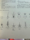 Papilionidae And Their Early Stages By Suguru Igarashi Japanese publisher Kodansha
