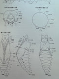 Papilionidae And Their Early Stages By Suguru Igarashi Japanese publisher Kodansha