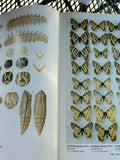 Papilionidae And Their Early Stages By Suguru Igarashi Japanese publisher Kodansha