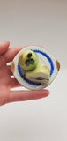 Pears Plate Limoge Box