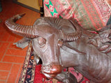 Antique Chinese Huge Hand Carved Wooden Oxen Figure